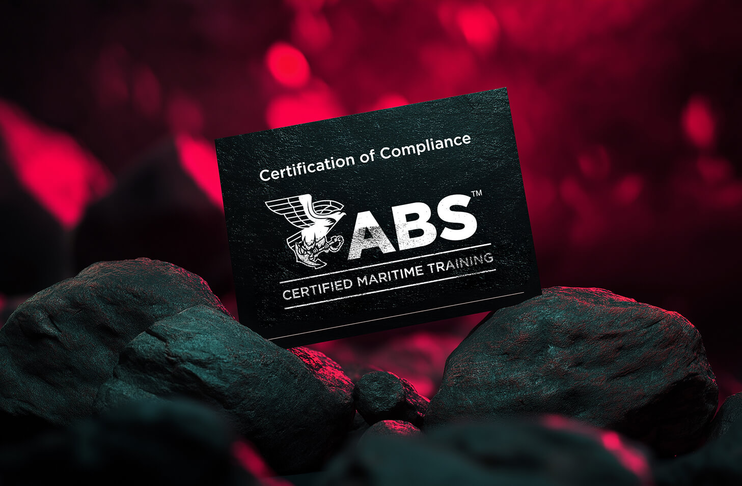 Abs Certification Export